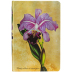 PAPERBLANKS Notizbuch Botanikmalerei Brasilianische Orchidee, mini unliniert