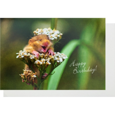 Geburtstagskarte Klappkarte "Happy Birthday"