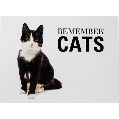 REMEMBER 44 Memory Cats