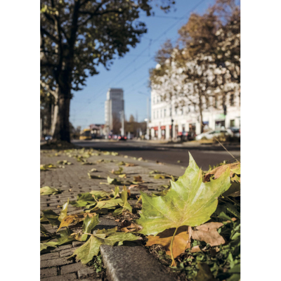 Neustadtspaziergang Postkarte Herbst auf der Bautzner