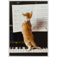 Postkarte Katzenmusik
