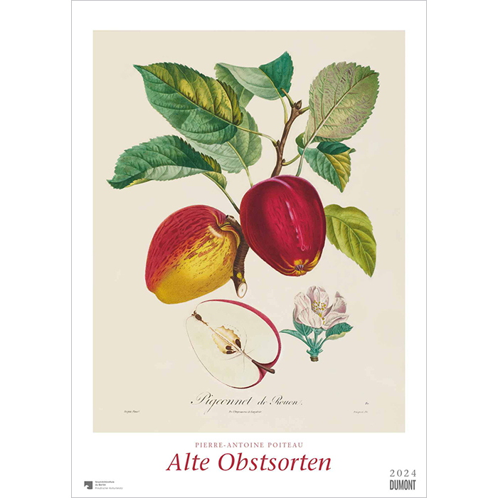 Alte Apfelsorten 2022 Küchen-Kalender gesunde Ernähr Bild-Kalender 33x49,5 