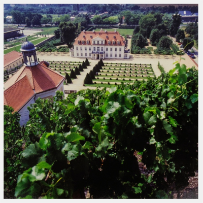 Postkarte Radebeul - Blick auf Schloss Wackerbarth