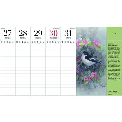 Taschenkalender Der illustrierte Vogelkalender 2022