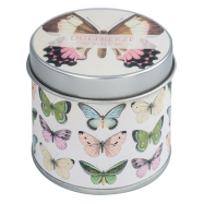 Duftkerze Wildrose - Motiv Schmetterling