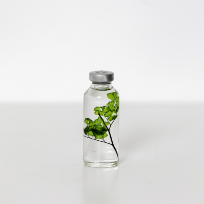 SLOW PHARMACY Pflanzen im Glas - Adiantum tenerum Frauenhaarfarn