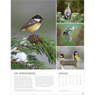 Kalender Vögel in unseren Gärten 2023