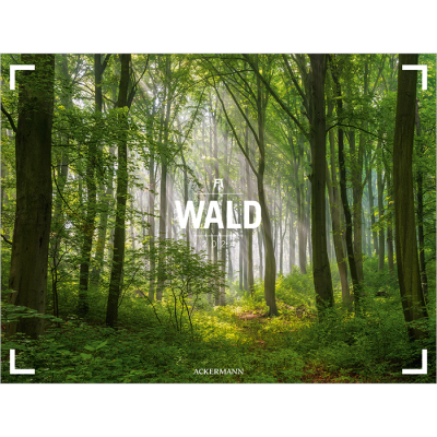 Kalender Wald 2024 - Gallery