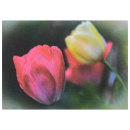 Postkarte Ostern Tulpen