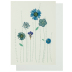 räder Glückwunschkarte Klappkarte "Herzlichen Glückwunsch" mit echten Blüten blau