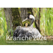 Kalender Kraniche 2024 - Fotografie Dieter Damschen