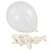 Luftballons - 12 Stück, weiß