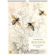 Thorbeckes Kalender Bienen 2024