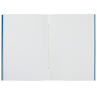 Notizheft Möwen - mildes Blau, Format A6, blanko