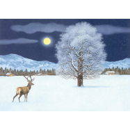 Adventskalender Zauberhafte Winternacht