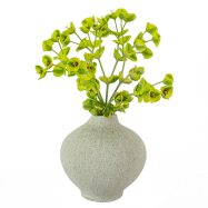 Vase Line - klein, grau-grün