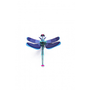 Stecktier Sapphire Dragonfly - Libelle Saphir