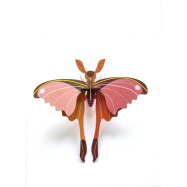 Stecktier Pink Comet Butterfly - Schmetterling...