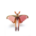 Stecktier Pink Comet Butterfly - Schmetterling Kometenfalter Pink