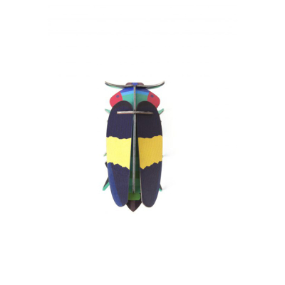 Stecktier Jewel Beetle - Prachtkäfer