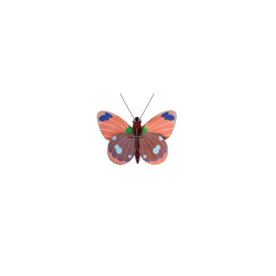 Stecktier Delias Butterfly - Delias Schmetterling