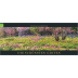GEO SAISON Panorama-Kalender 2024 - Die schönsten Gärten