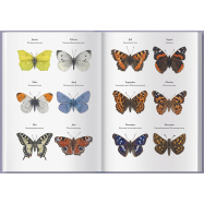 Taschenkalender Schmetterlingskalender 2024