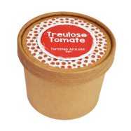 Treulose Tomate Pott - Tomaten-Anzucht-Set