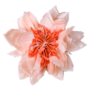 Seidenpapierblumen - 2er Set Kirschblüte
