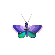 Stecktier Blue Copper Butterfly - Blauer Schmetterling