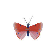 Stecktier Speckled Copper Butterfly - Schmetterling...
