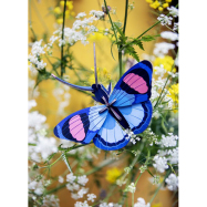 Stecktier Peacock Butterfly - Schmetterling Tagpfauenauge