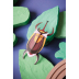 Stecktier Elephant Beetle - Elefantenkäfer