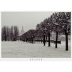 Postkarte Dresden - Barockgarten am Japanischen Palais und Frauenkirche im Schnee
