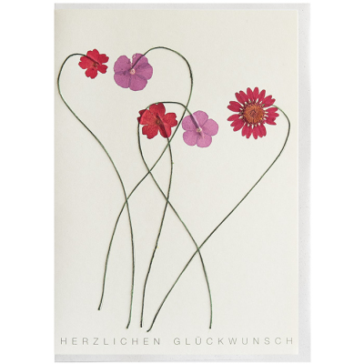 räder Glückwunschkarte Klappkarte "Herzlichen Glückwunsch" mit echten Blüten rot