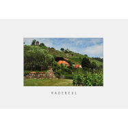 Postkarte Radebeul - Lößnitzhänge mit...